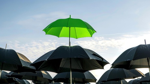 Travel Insurance